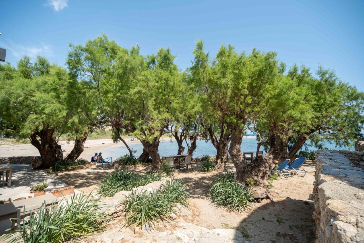 Mylos Seaside Experience Frangokastello Extérieur photo